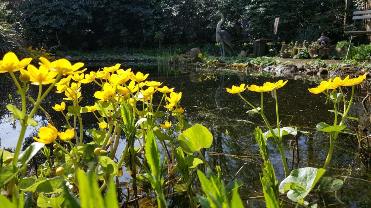 B&B De Slaperije Warnsveld Esterno foto
